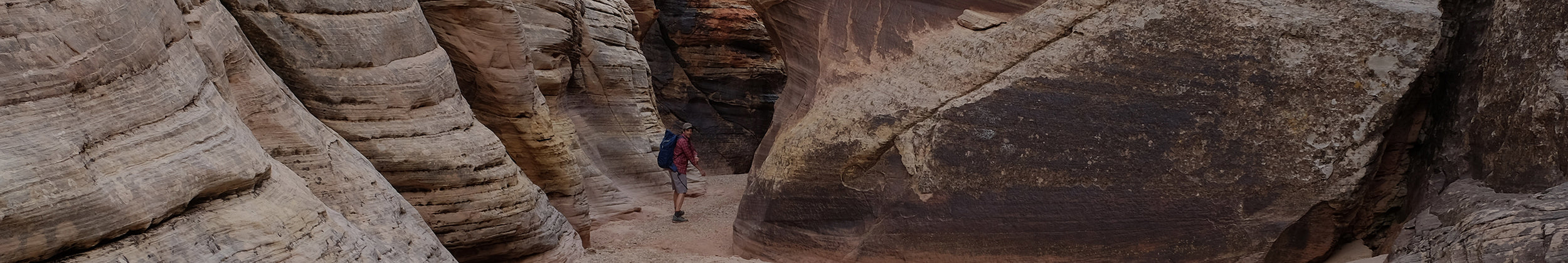 Becoming an Entrepreneur at 40 - A Hero's Journey, Part III