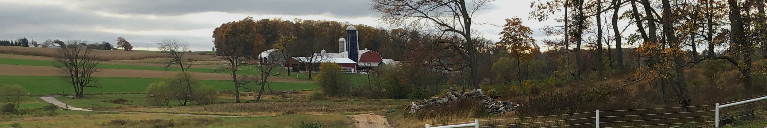 A Top Travel Moment Happens by Accident