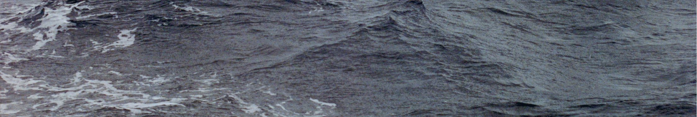 Small Steps to More Adventure Than You Can Handle